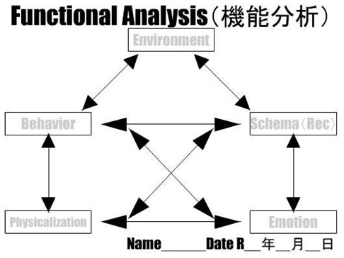 機能分析