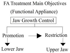 機能的矯正治療の目的