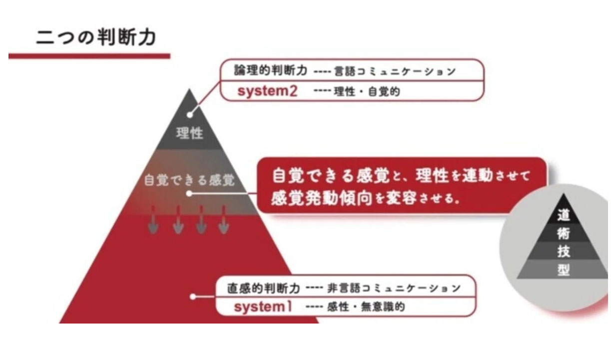 二重過程理論