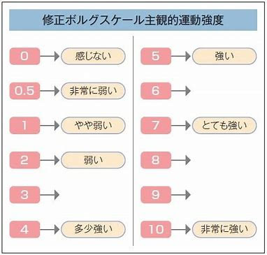 ボルグスケール