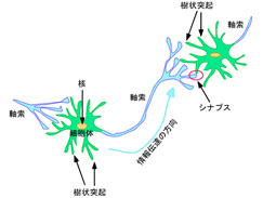 スキル